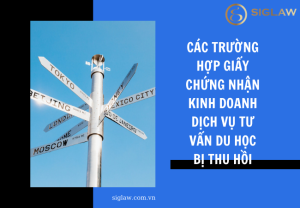 Các trường hợp giấy chứng nhận kinh doanh dịch vụ tư vấn du học bị thu hồi