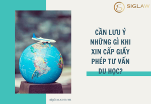 Cần lưu ý những gì khi xin cấp giấy phép tư vấn du học?