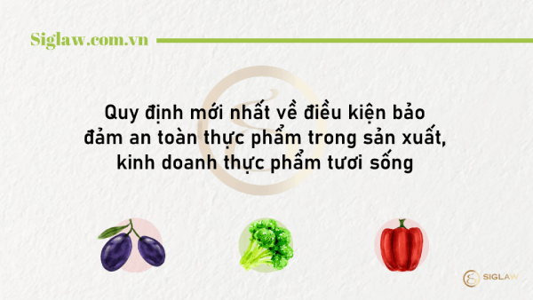 Điều kiện bảo đảm an toàn thực phẩm tươi sống