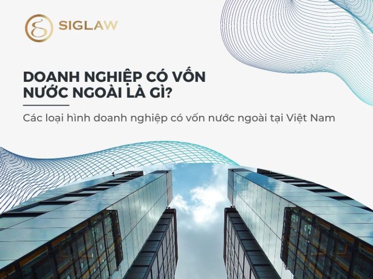 Các loại hình doanh nghiệp có vốn nước ngoài tại Việt Nam