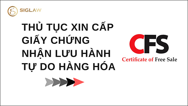 Hồ sơ & thủ tục xin giấy chứng nhận lưu hành tự do hàng hóa