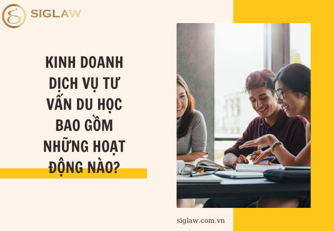 Kinh doanh dịch vụ tư vấn du học bao gồm những hoạt động nào?