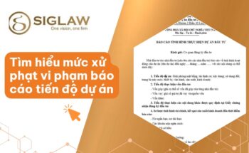 Mức phạt khi không báo cáo tiến độ dự án đầu tư [Mới 2026]