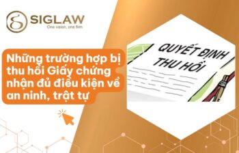 Thu hồi Giấy chứng nhận đủ điều kiện an ninh trật tự