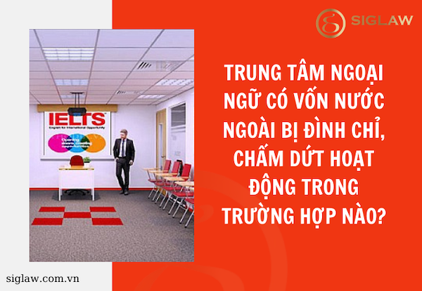 Trung tâm ngoại ngữ có vốn nước ngoài bị đình chỉ, chấm dứt hoạt động trong trường hợp nào?