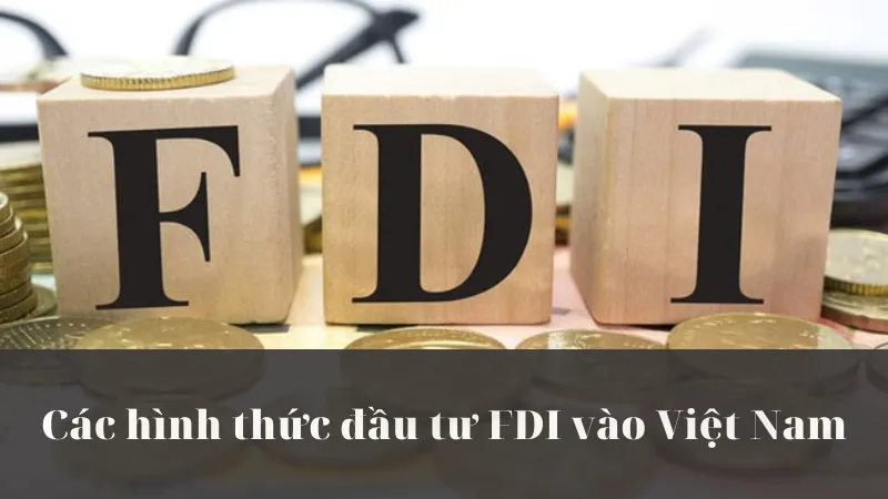 Các hình thức đầu tư FDI vào Việt Nam