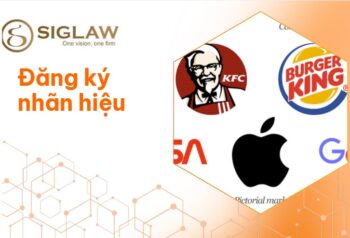 Đăng ký nhãn hiệu là gì? Quy trình đăng ký tại Việt Nam & Quốc Tế