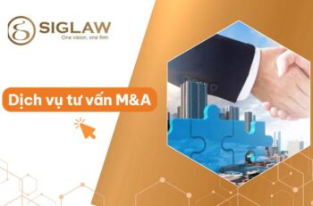 Dịch vụ tư vấn mua bán và sáp nhập doanh nghiệp (M&A)