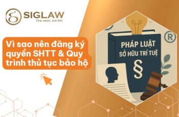 Quyền sở hữu trí tuệ: Vì sao nên đăng ký & Thủ tục bảo hộ