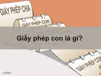 Giấy phép con là gì? Quy trình xin cấp giấy phép con