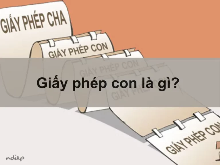 Giấy phép con là gì? Quy trình xin cấp giấy phép con