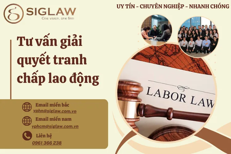 Tư vấn giải quyết tranh chấp lao động