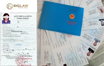 Dịch vụ xin cấp giấy phép lao động cho người Trung Quốc