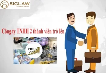 Nhà đầu tư nước ngoài thành lập công ty TNHH hai thành viên trở lên