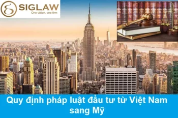 Quy định pháp luật đầu tư từ Việt Nam sang Mỹ