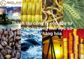 Thành lập công ty FDI trong lĩnh vực Sở Giao dịch hàng hóa