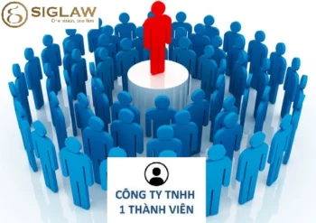 Thành lập Công ty TNHH 1 thành viên: Ưu điểm & Quy trình