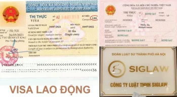 Visa lao động