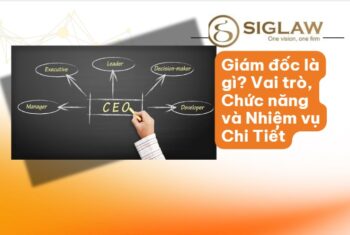 Giám đốc là gì? Quyền, Nghĩa vụ và Chức năng Mới Nhất 2026