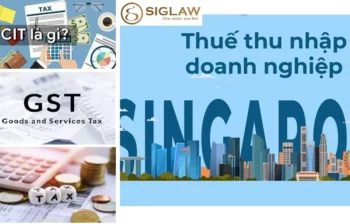 Hoàn thuế GST/CIT cho công ty tại Singapore