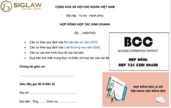 Hợp đồng BCC/Hợp đồng hợp tác kinh doanh