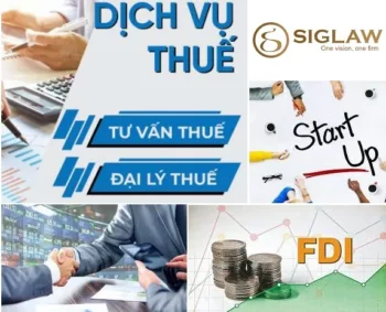 Nhà đầu tư nước ngoài thành lập đại lý thuế