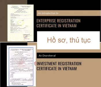 IRC ERC là gì? Hồ sơ, thủ tục xin cấp IRC & ERC