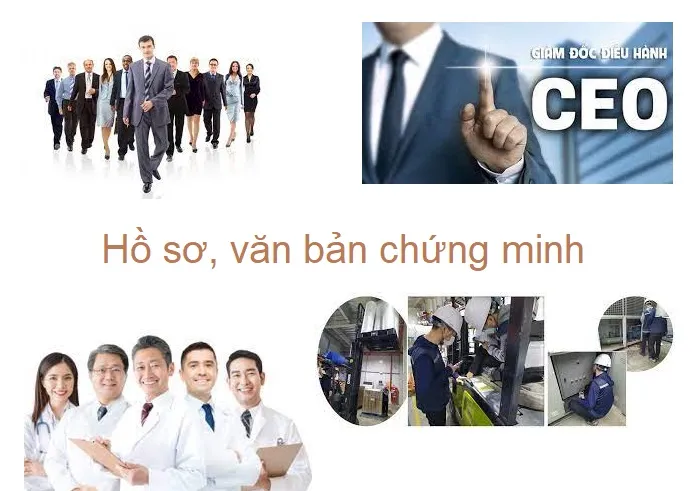 Tài liệu chứng minh nhà quản lý, chuyên gia, lao động kỹ thuật, giám đốc điều hành