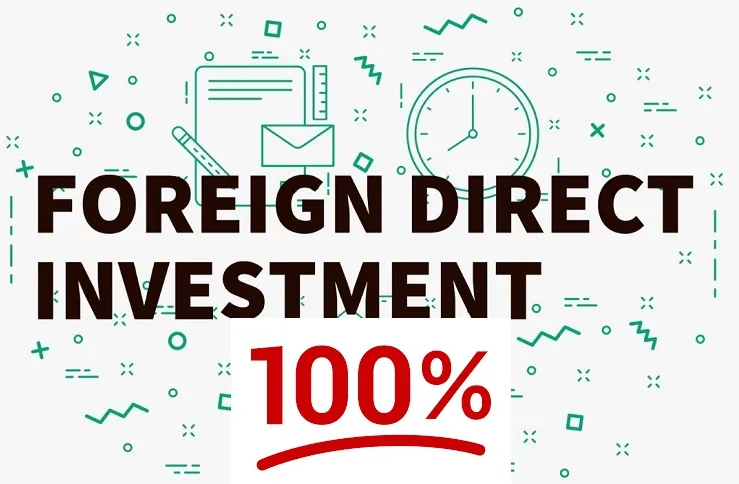 Công ty 100% vốn nước ngoài là gì?