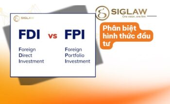 Phân Biệt Đầu Tư FDI Và FPI: Điểm Giống Và Khác Nhau