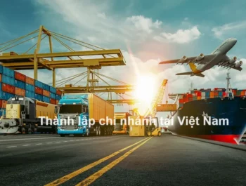 Thành lập chi nhánh công ty Logistics nước ngoài tại VN