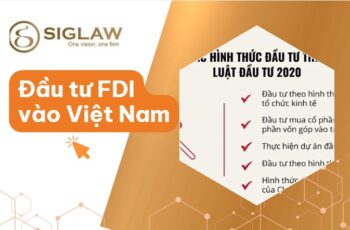Các hình thức đầu tư FDI vào Việt Nam