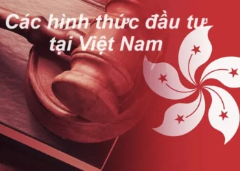 Các hình thức đầu tư vào Việt Nam bằng vốn Hồng Kông