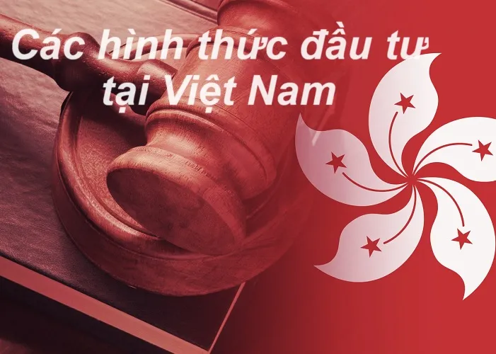 Các hình thức đầu tư vào Việt Nam bằng vốn Hồng Kông