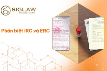 irc erc la gi ho so thu tuc xin cap irc erc 2026 IRC ERC là gì? Phân Biệt IRC và ERC, Hồ Sơ & Thủ Tục Cấp Mới 2026