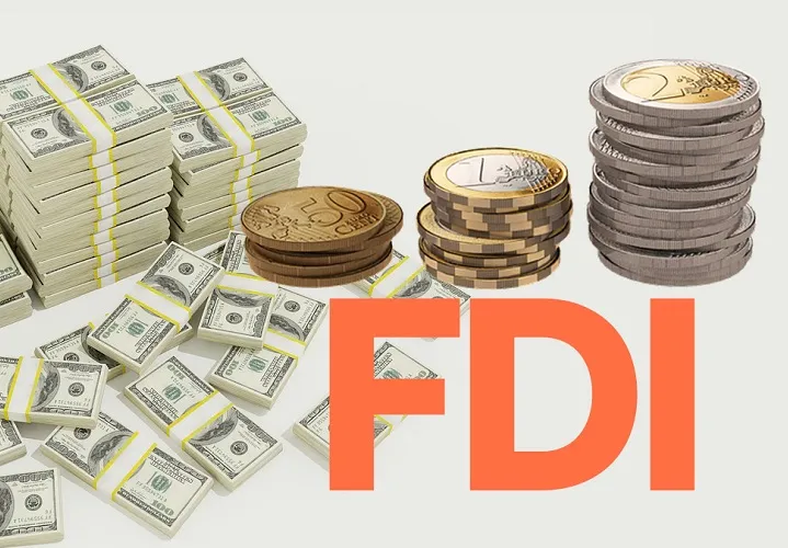 Vốn FDI là gì? Vai trò của nguồn vốn đầu tư trực tiếp nước ngoài.