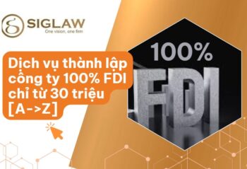 Dịch vụ thành lập công ty 100% vốn nước ngoài [2026]