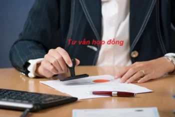 Tư vấn hợp đồng là gì?