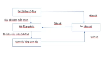 Cơ cấu tổ chức Công ty cổ phần