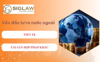 Các loại nguồn vốn đầu tư ra nước ngoài