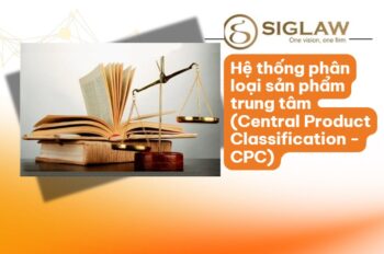 Mã Ngành CPC Là Gì? Tra Cứu Danh Mục CPC Mới Nhất 2026