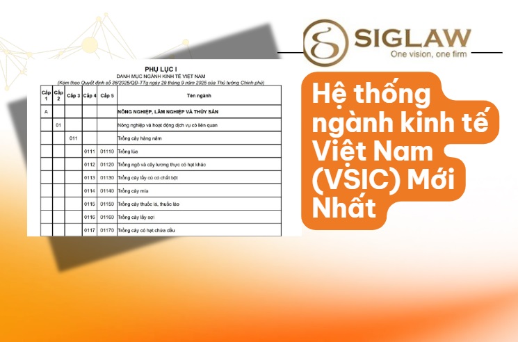 Mã Ngành VSIC Là Gì? Cách Tra Cứu Hệ Thống Ngành Kinh Tế Việt Nam Mới Nhất