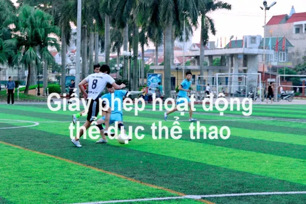 Dịch vụ xin giấy phép hoạt động thể dục thể thao tại Hà Nội