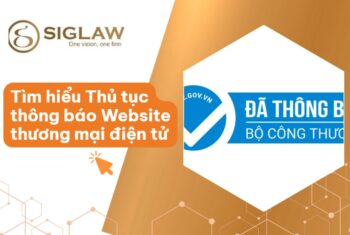 Thủ tục thông báo website thương mại điện tử [Chi tiết 2026]