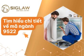 Mã ngành 9522 Sửa chữa, bảo dưỡng thiết bị, đồ dùng gia đình