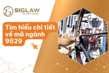 Mã ngành 9529 - Sửa chữa, bảo dưỡng xe đạp, đồng hồ, đồ dùng cá nhân
