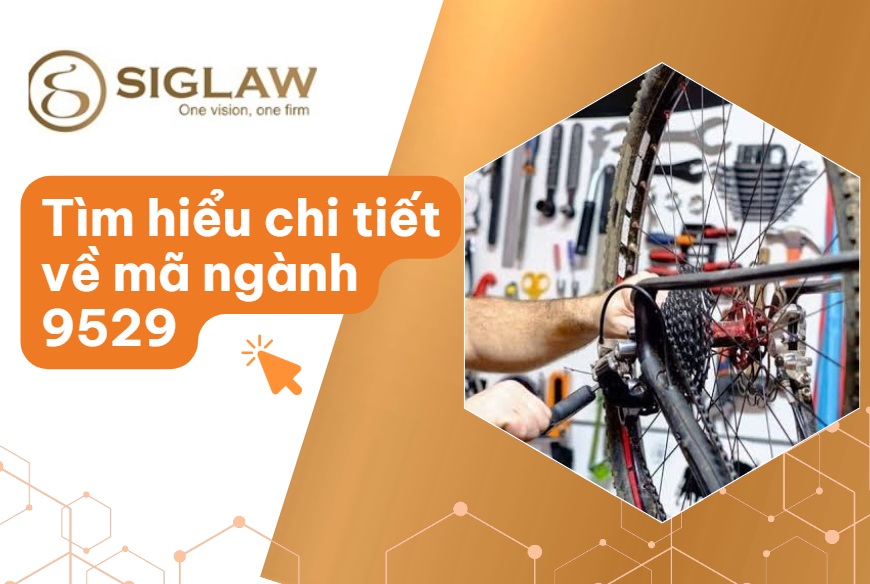Mã ngành 9529 - Sửa chữa, bảo dưỡng xe đạp, đồng hồ, đồ dùng cá nhân Mã ngành 9529 - Sửa chữa, bảo dưỡng xe đạp, đồng hồ, đồ dùng cá nhân
