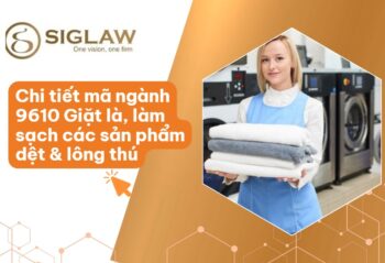 Mã ngành 9610: Giặt là, làm sạch các sản phẩm dệt & lông thú