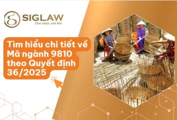 Mã ngành 9810 sản xuất các sản phẩm vật chất tự tiêu dùng của hộ gia đình