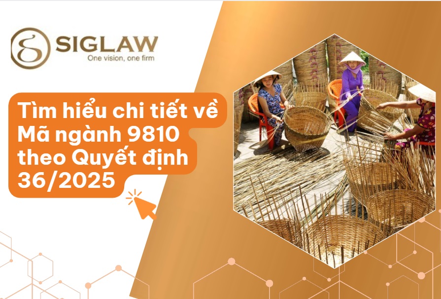 Mã ngành 9810 sản xuất các sản phẩm vật chất tự tiêu dùng của hộ gia đình Mã ngành 9810 sản xuất các sản phẩm vật chất tự tiêu dùng của hộ gia đình